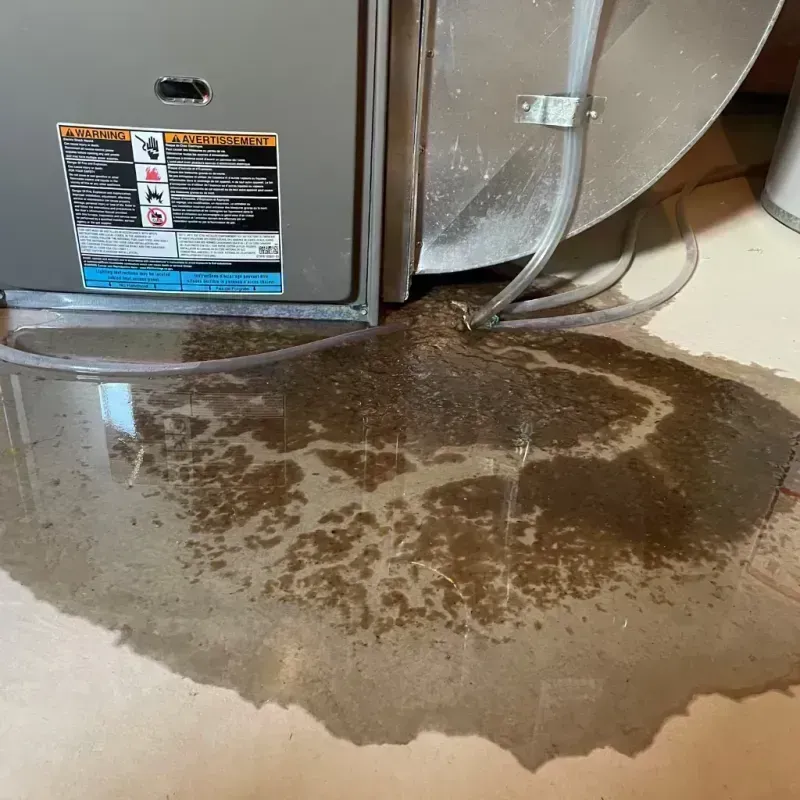 Appliance Leak Cleanup in Billings, MO